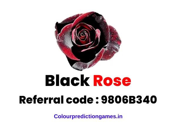 black rose colour prediction game referral code